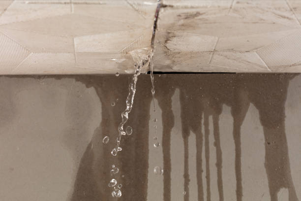 Professional Sewage Cleanup technician working in New Haven, WV